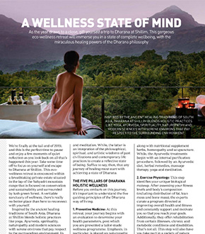 A wellness state of mind