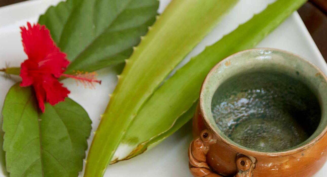 8-ways-to-resolve-allergies-via-ayurveda