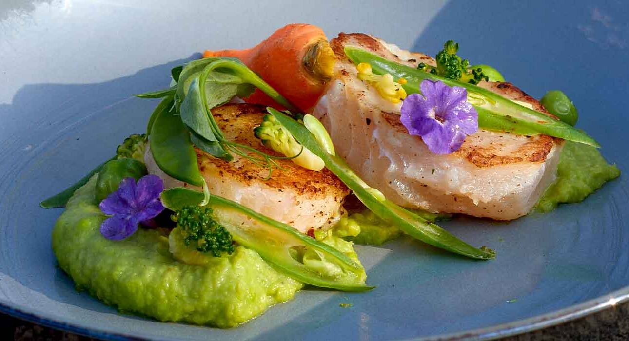 what-is-a-naturopathy-diet