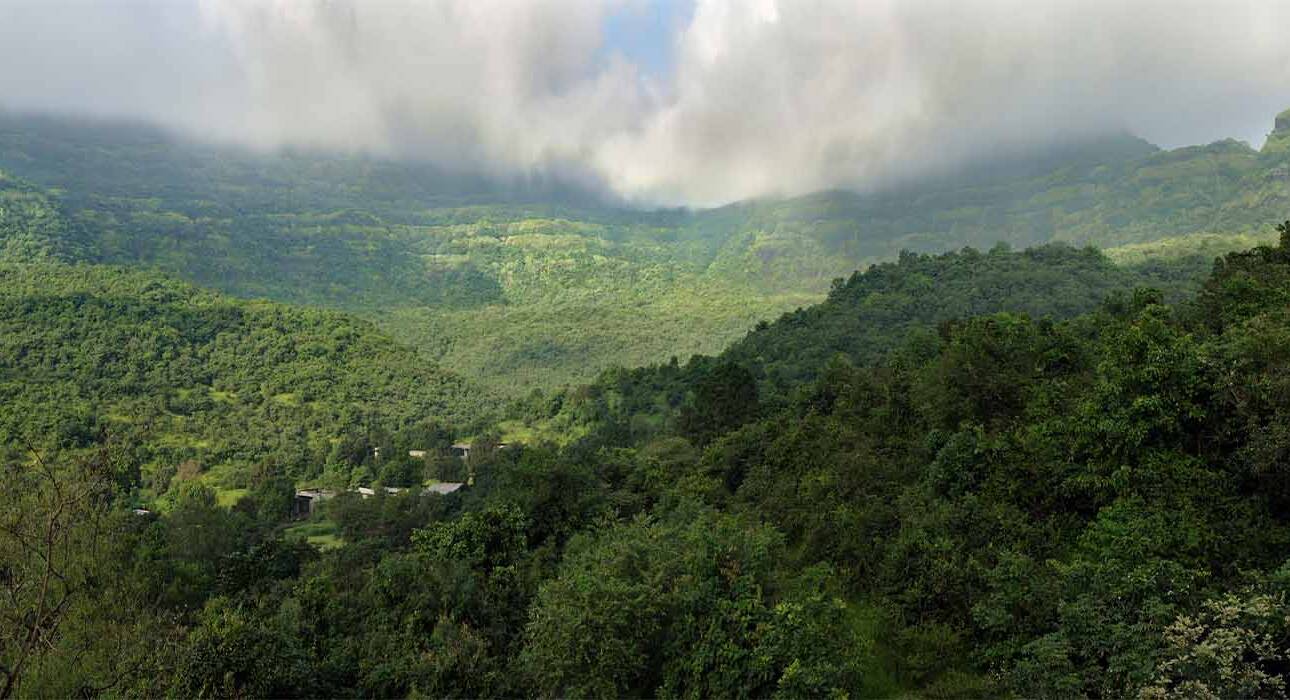 sustainability-and-dharana