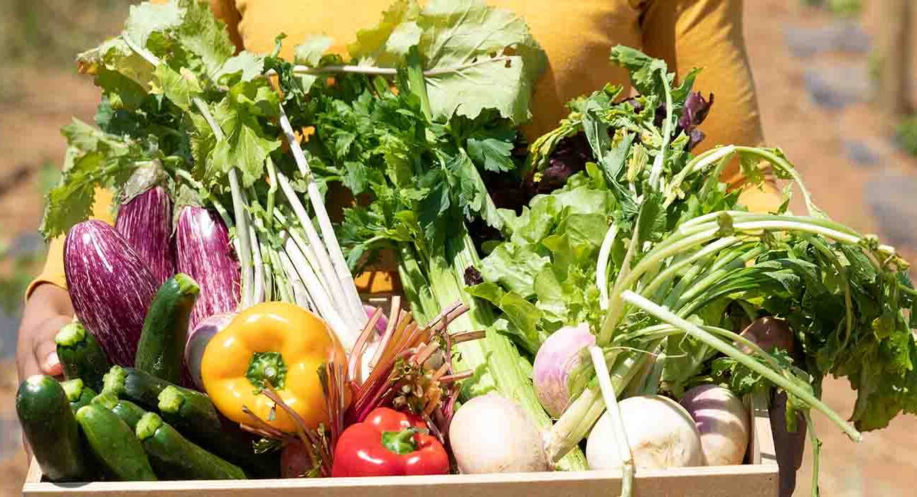 detox way of living
