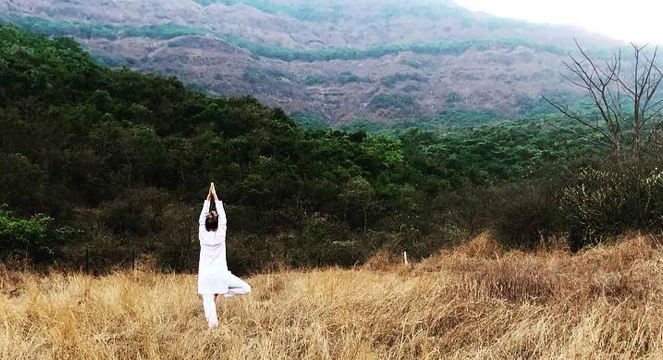 what are the types of yoga