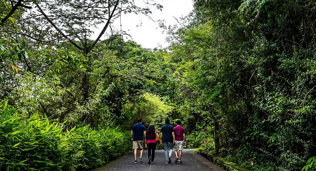what is wellness retreat