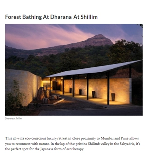 Forest Bathing At Dharana At Shillim