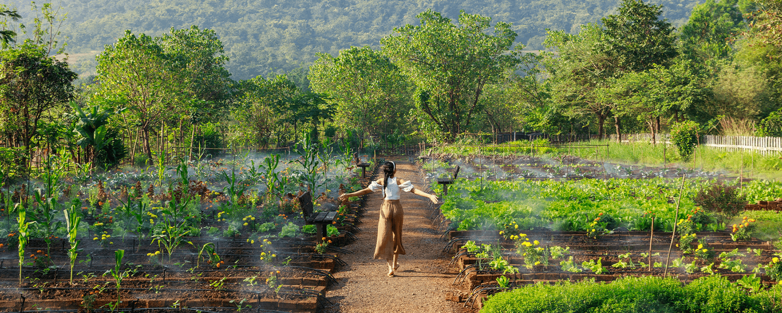DHARANA’S APPROACH TO NOURISHMENT