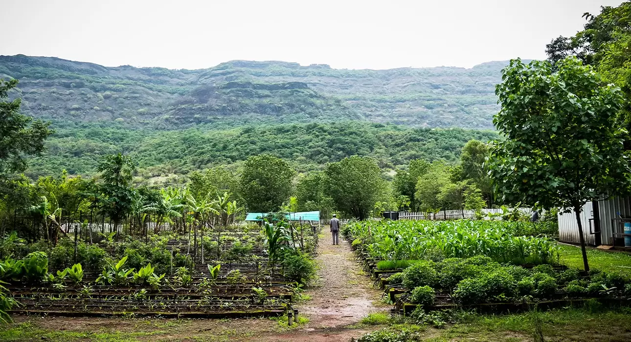 path-to-wellness-sustainably-sourced-nutrition
