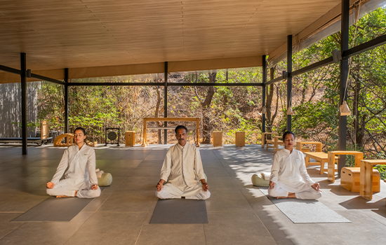 dharana yogic path
